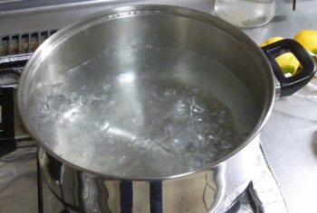 【画像】カビが生えない　きれいな干し柿作り方 方法は熱湯に浸ける